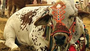 Pakistan , india , ghana , austria , nigeria , uzbekistan , nepal , swaziland , ecuador , jordan , cuba , andorra , palau , iran , costa rica , united states , sweden. Official Eid Holidays Announced For Eid Ul Adha 2018 In Pakistan