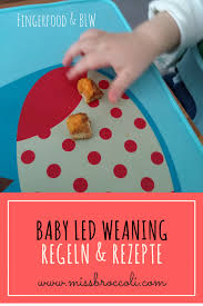 Ab wann ist fleisch für babys geeignet? Baby Led Weaning Blw Anstelle Von Brei Mama Foodblog
