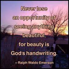 Never Lose An Opportunity Of Seeing Anything Beautiful For Beauty Is God S Handwriting Emerson Quotes Ralph Waldo Emerson Quotes Eleanor Roosevelt Quotes