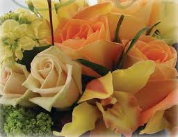 White house flowers santa barbara. White House Florists Home Facebook
