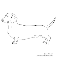 If you are about to become an owner of this dog, you need to learn some interesting facts. Dachshund Dog Coloring Page Dog Coloring Page Dog Stencil Dog Coloring