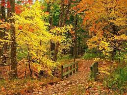 Nice Wallpapers Beautiful Autumn Season Wallpapers Hd Autumn Scenery Autumn Scenes Autumn Wallpaper Hd