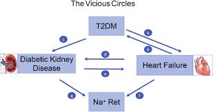 An example would be untreated high blood pressure or poorly controlled diabetes. Diabetes Heart Failure And Renal Dysfunction The Vicious Circles Sciencedirect