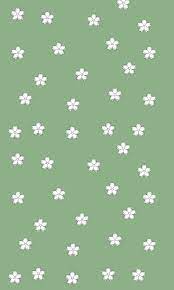 And get some different resolutions wallpaper i.e (green aesthetic wallpaper 1920 x 1080) and (dark green. Green Screen Saver Green Wallpaper Daisy Wallpaper Green Aesthetic