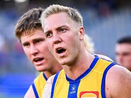 Brayden Maynard: Pie for life or more years? : r/collingwoodfc