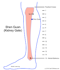 Catstcmnotes Com Shen Guan Or Kidney Gate Master Tung Point Acupuncture Acupuncture Points Acupressure