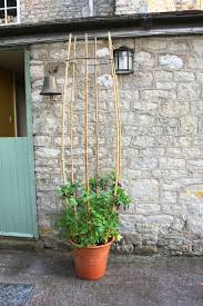 Pin Von Carina Amend Auf Home Garten In 2020 Pflanzenrankgitter Gartenspaliere Gartencontainer