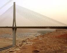 صورة جسر الرياض المعلق