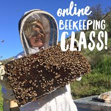 Depending on what's growing in your garden, there's a lot you can do to get your ornamental plants ready for the colder months. 10 Mistakes New Beekeepers Make Beekeeping Like A Girl