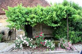 4.1 combien coûte la réalisation d'une terrasse ? Ombrage Terrasse Quels Vegetaux Choisir Promesse De Fleurs