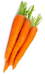 Gambar berry wortel sayur buah buku mewarnai segar unduh sayuran. Manfaat Wortel Untuk Kesehatan Suaramedannews Com