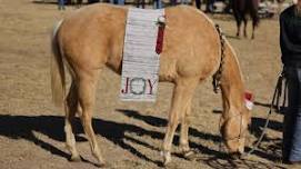 Christmas at the Empire Ranch