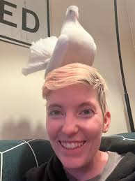 So, does anyone know how to get this Retromad 1 website to work? I emailed  them, they got back to me, but there was no link and the website just leads  directly