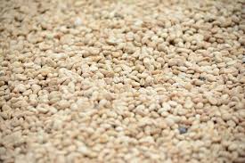 Can Cats Eat Nuts A Full Review Of Nuts And Seeds Your Cat Can Eat