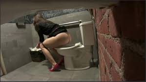 Женщины писают скрытая камера в туалете (58 фото) - секс и порно