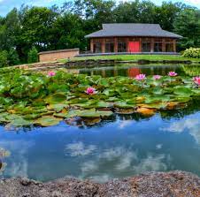 Yuko En Friendship Garden On The Elkhorn Georgetown Kentucky Www Yukoen Com Phyllis Bentley Japanese Garden Photographer Names Georgetown