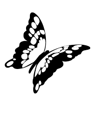 Flying Butterfly Drawings With Color How to draw a butterfly.