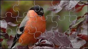 Still life with birds, flowers and fruits. Bird Jigsaw Puzzles Game For Android Apk Download