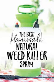 Safe to use around children and pets. The Best Homemade Weed Killer Spray Health Starts In The Kitchen