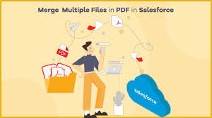 How To Merge Multiple Files Attachments In Single Pdf In Salesforce Filezipo Io