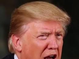 WriteHere: Hurricane Katrina & the Snakes