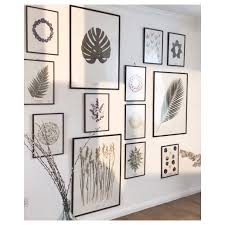 Introduire La Nature Chez Soi Hymntonature Herbarium Herbiers Botanique Plantes Home Interieur Herbs En 2019 Deco Mur Deco Maison Et Deco