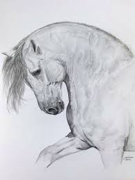 Pin By خالد العبادي Khaled Alabbade On فن Art Horse Drawings Horses Horse Painting