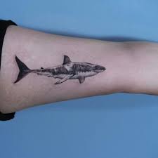 By dubuddha july 17, 2017. Top 250 Best Shark Tattoos 2019 Tattoodo