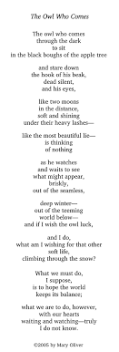 I Do Not Know The Owl Who Comes By Mary Oliver I Hope The World Keeps Its Balance Poetic Words Mary Oliver Poems Mary Oliver