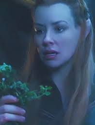 Thought the group would like this