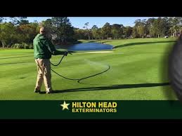 Termite and pest control services throughout raleigh, durham, cary, apex, and chapel hill termite control, inspections, and warranties. Hilton Head Exterminators Home Facebook
