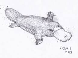 Duck Billed Platypus Sketch Art By Breah Draw guidelines for the platypus's neck and body. duck billed platypus sketch art by breah
