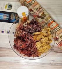 Premium Chondrus Crispus (irish Moss) From the Northern Atlantic Ocean