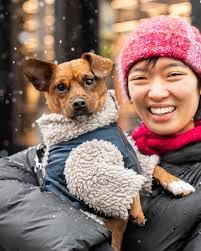 Our Baby Yoda is not afraid telling it like it is, is he ? HAHA