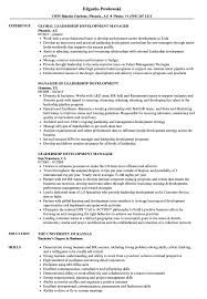 Leadership Development Manager Resume Samples Velvet Jobs
