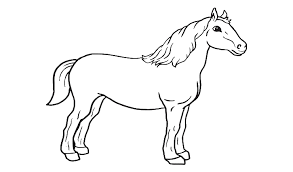 Gambar mewarnai kuda poni untuk anak paud dan tk.jika anda mencari mewarnai gambar lucu kuda pony diwarnai, maka anda berada di tempat yang tepat. Gambar Mewarnai Kuda