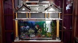 Model aquarium minimalis unik terbaru. Aquarium Cantik Industrial Company 34 Photos Facebook