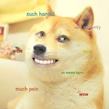 Cool Doge Much Wow