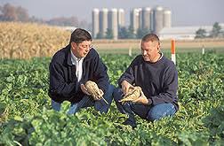 USDA ARS Online Magazine Vol. 52, No. 4