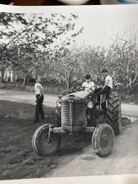 Image result for Gray 1965 Tractor