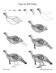 Turkey Wild Drawing Lesson Nose caramel heavy dark sweets have tried nearly all the majors like jack daniels line (up through single barrel), jim beam (same), etc, and. turkey wild drawing lesson