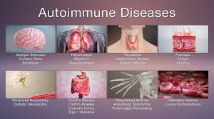 What Is An Autoimmune Disease Max Cellgevity Wellness Facebook
