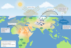 Image result for Blue Vela 2008 147