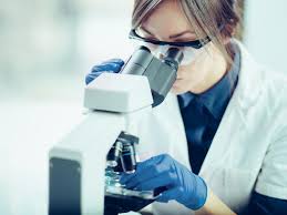 Lot 11 section 5 fasa 2b, pulau indah ind. About Us Ecolex