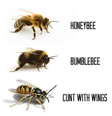 Q Clayborne Listen To The Voices In My Head On Twitter Bee Funny Memes Bumble Bee