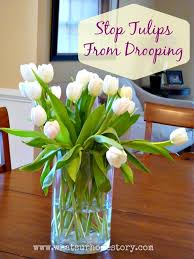 Pour 2 tbsp sugar into the water. 4 Tricks To Keep Tulips In A Vase From Drooping