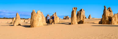The southern namib desert is home to some of the tallest and most spectacular dunes of the world, ranging in color from pink to vivid orange. Pinnacles Wa Nambung National Park Australia S Coral Coast