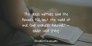 Say, last week we discussed what the bible says about homosexuality. Relationships Dating Archives Devotions For Teenagers And Youth