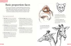 If you want to draw a subject or scene with accurate proportions, you must employ proper techniques and train your eyes over time. 5 Minute Sketching Animals And Pets Super Quick Techniques For Amazing Drawings Geraths Gary 9781770859173 Amazon Com Books