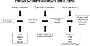 Learn the results of the prostate cancer prevention trial, which was a study designed to see whether the drug finasteride (trade name proscar) could prevent prostate cancer in men ages 55 and older. Prostate Cancer Prevention Concepts And Clinical Trials Springerlink